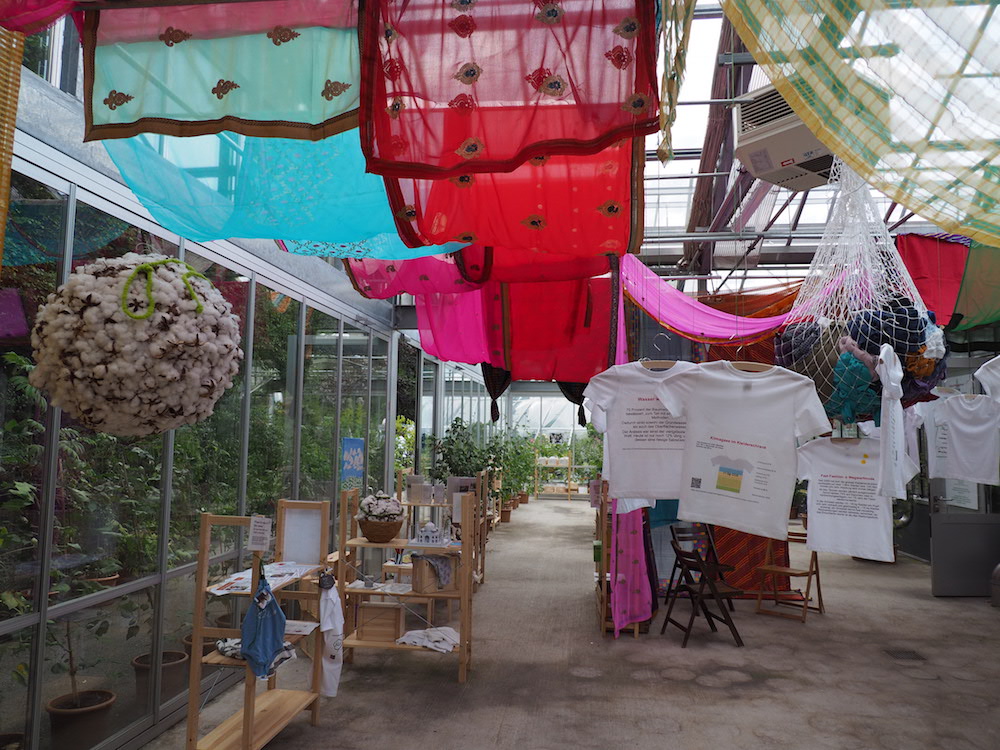 Im Inneren eines Gewächshauses hängen Stoffbahnen an der Decke und T-Shirts an Kleiderbügeln, entlang der Fensterfront hölzerne Gestelle mit Ausstellungsgegenständen zu Baumwollverarbeitung