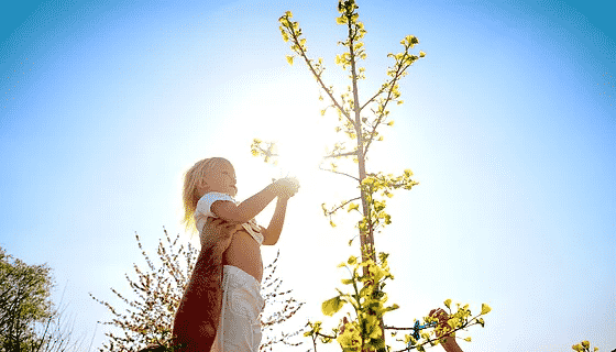 Friedensbaumpflanzung