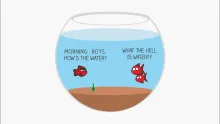 ...