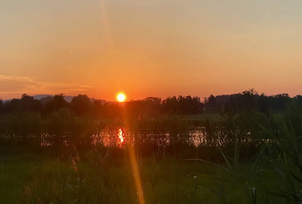 «War es nicht paradiesisch, im Abendlicht schwimmen zu gehen?» (Bild NL)